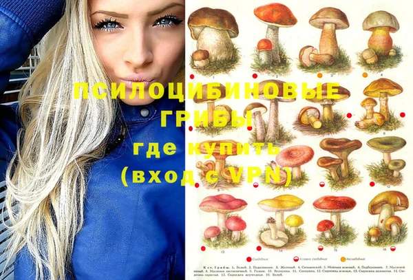 мет Осташков