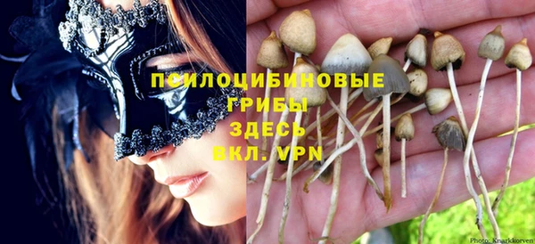 прущие крисы Осинники