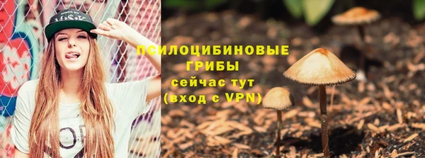 прущие крисы Осинники
