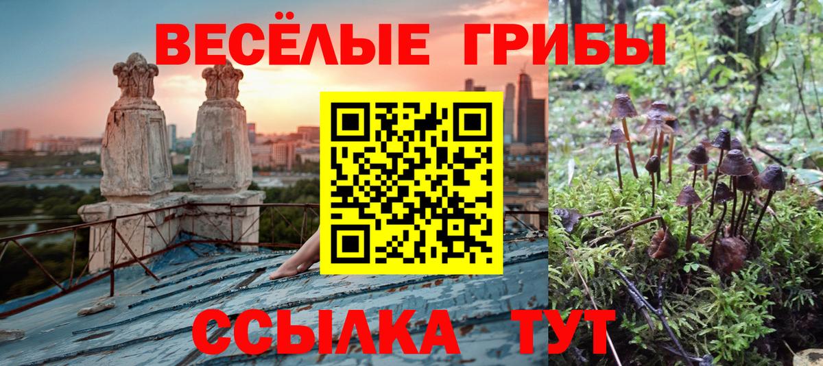 Псилоцибиновые грибы Magic Shrooms  Псилоцибиновые грибы прущие грибы  Аша 